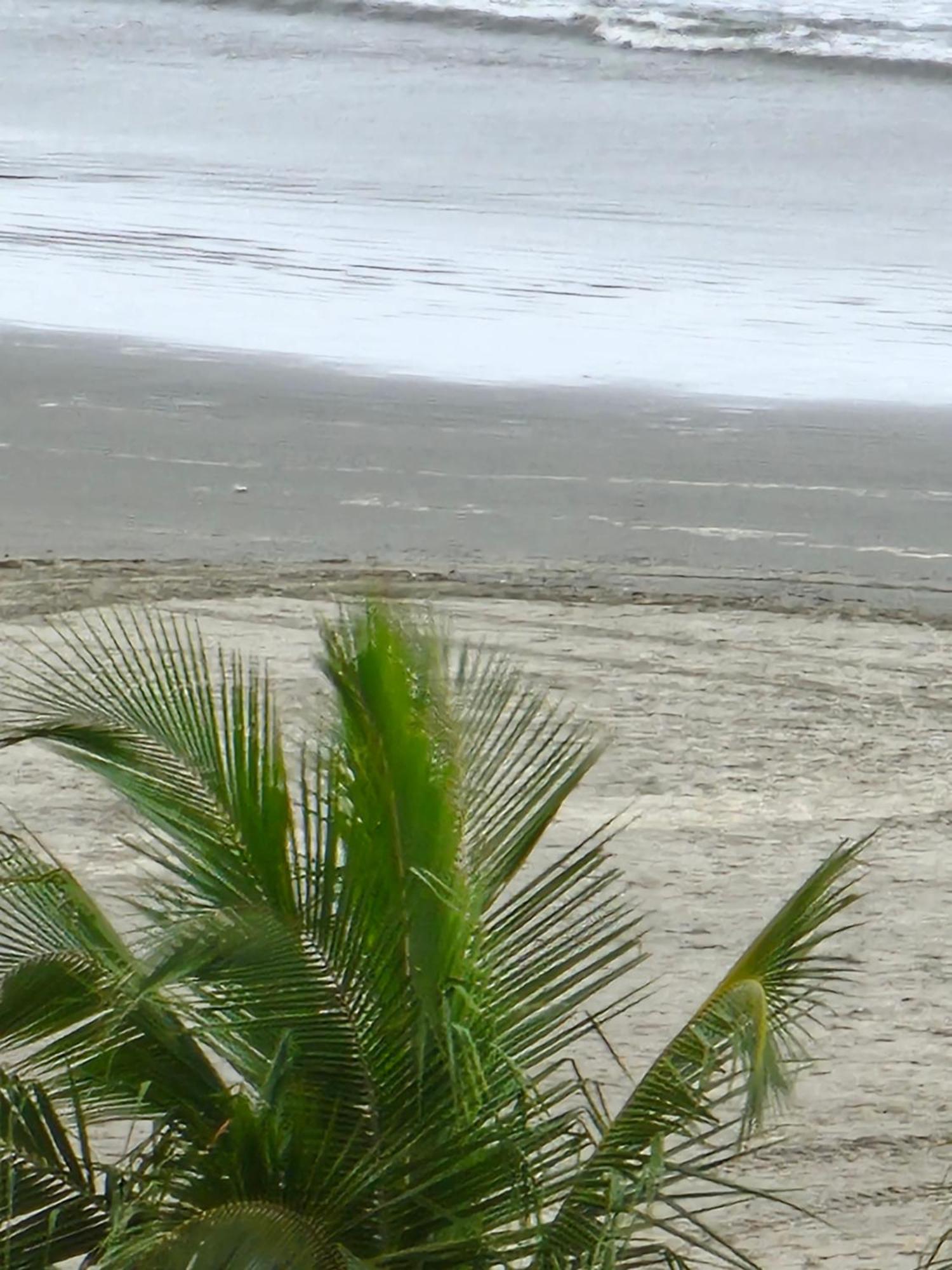 Itarare Um Sonho De Mar Apartment *